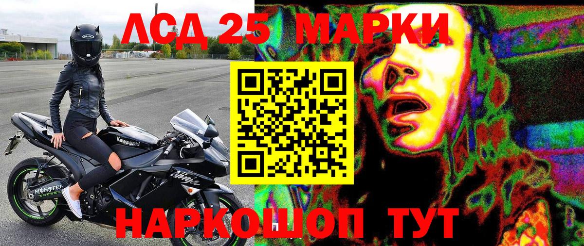 APVP Волгоград