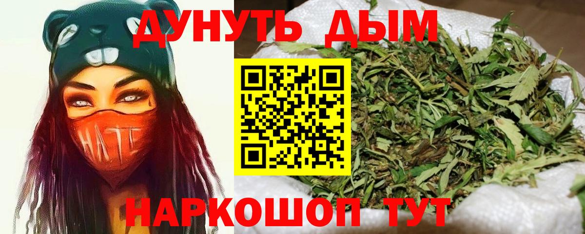 Марихуана план  Бошки марихуана ГИДРОПОН  Волгоград  Вход с VPN 